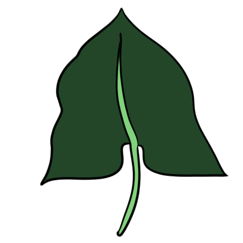 a hastate leaf.